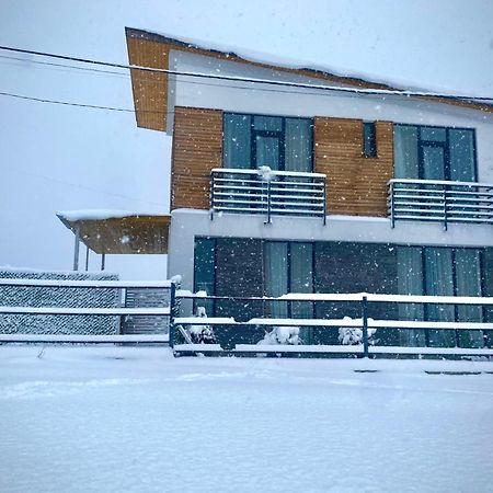 Cottage Marta Sadgeri Borjomi Ngoại thất bức ảnh