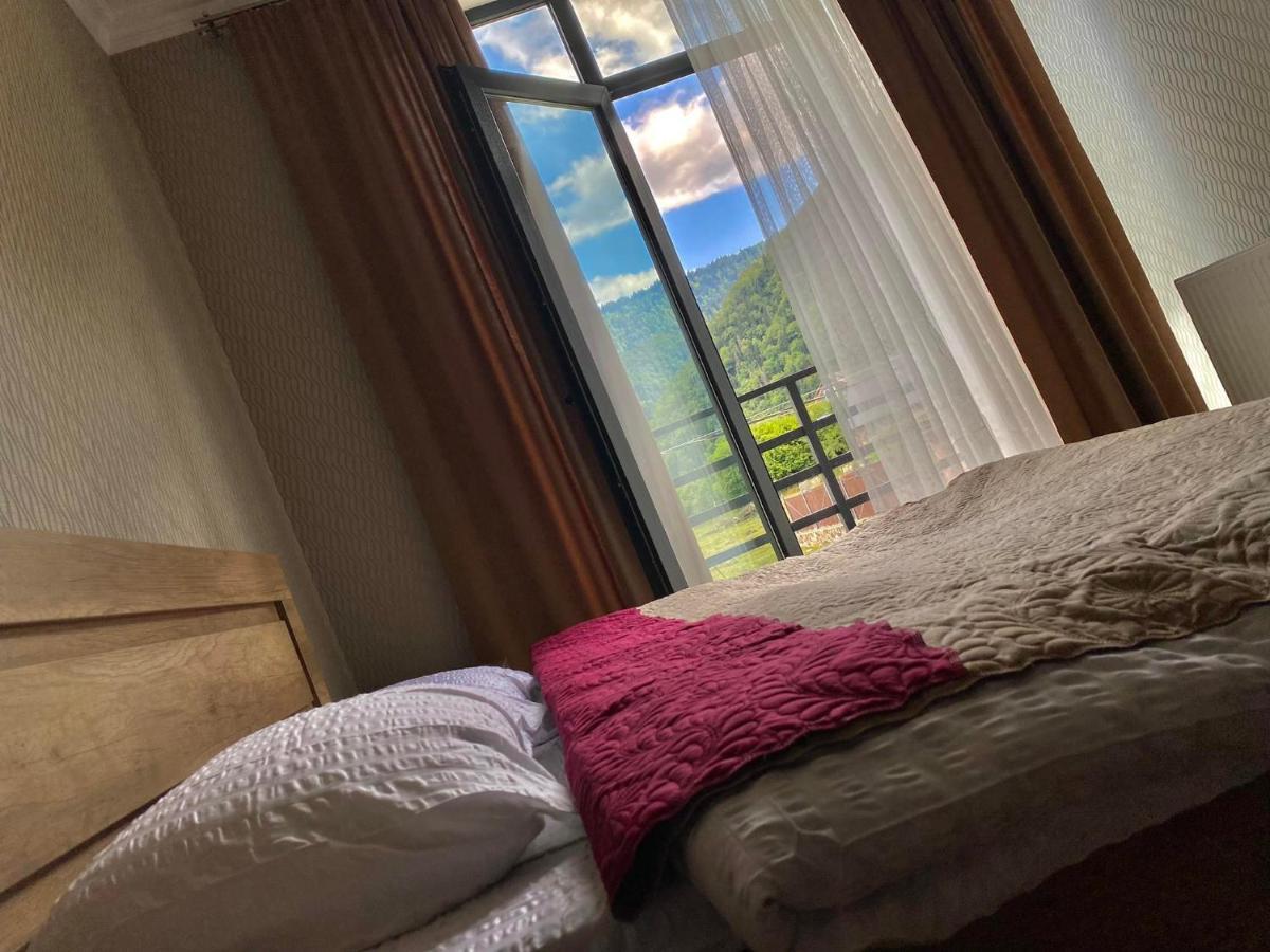 Cottage Marta Sadgeri Borjomi Ngoại thất bức ảnh