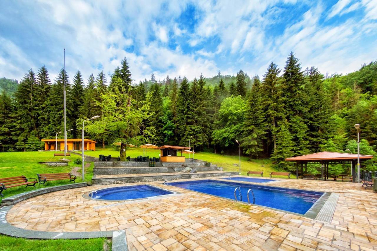 Cottage Marta Sadgeri Borjomi Ngoại thất bức ảnh