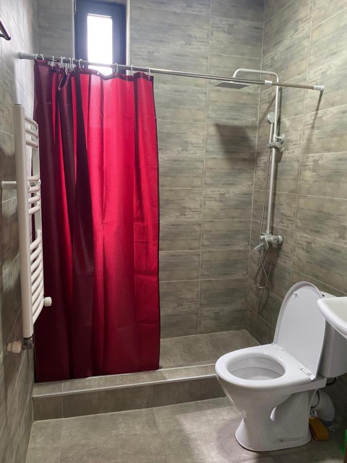 Cottage Marta Sadgeri Borjomi Ngoại thất bức ảnh